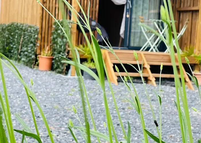 Bed & Breakfast Douce Quietude 