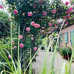 Bed & Breakfast Douce Quietude D'hotes Vals-les-Bains